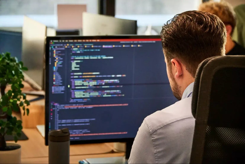 Software Leiden